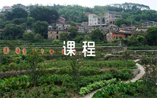 业余篮球运动员如何通过智能放松提高比赛表现?_2