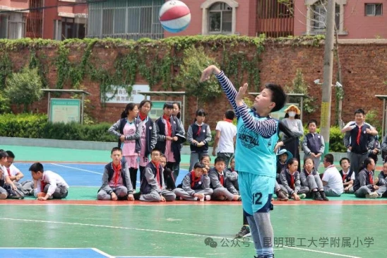 篮球训练营中试训的表现评估方法_0